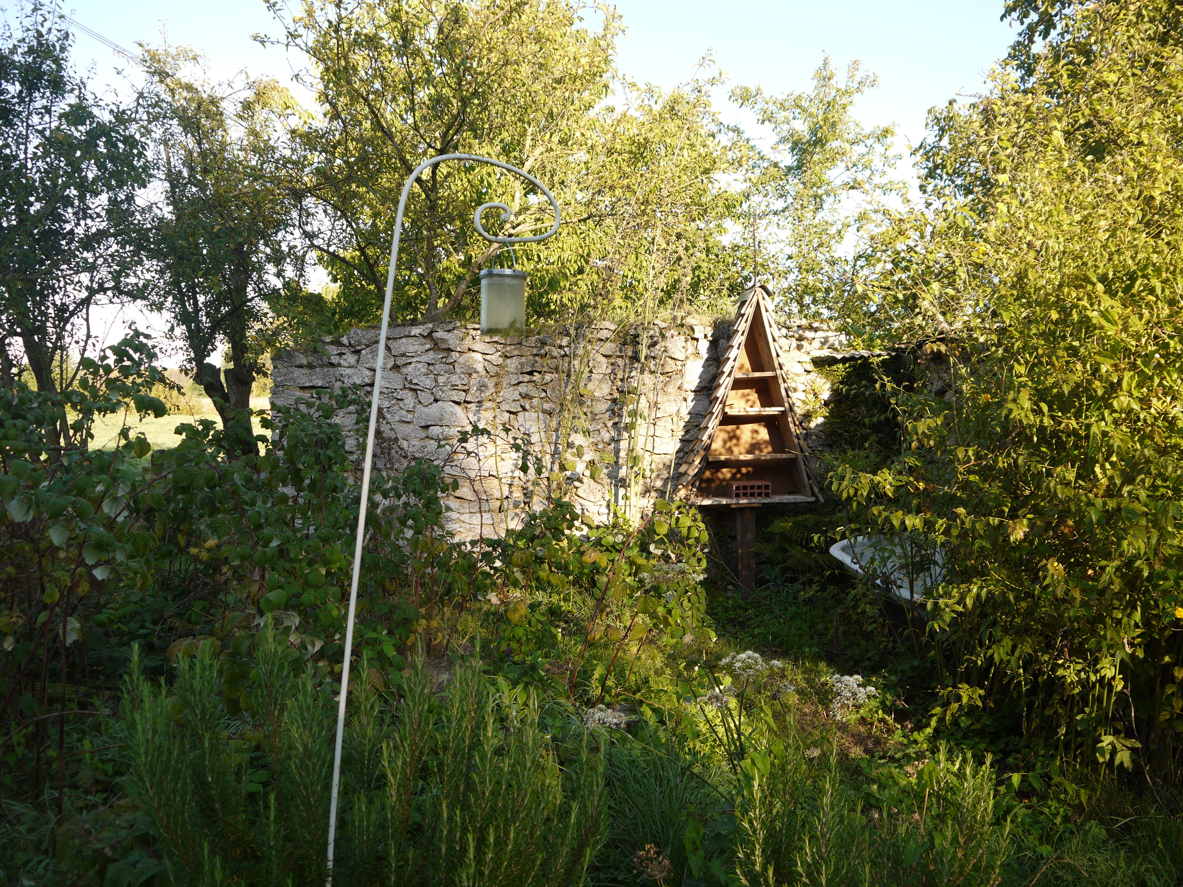 photo_1
