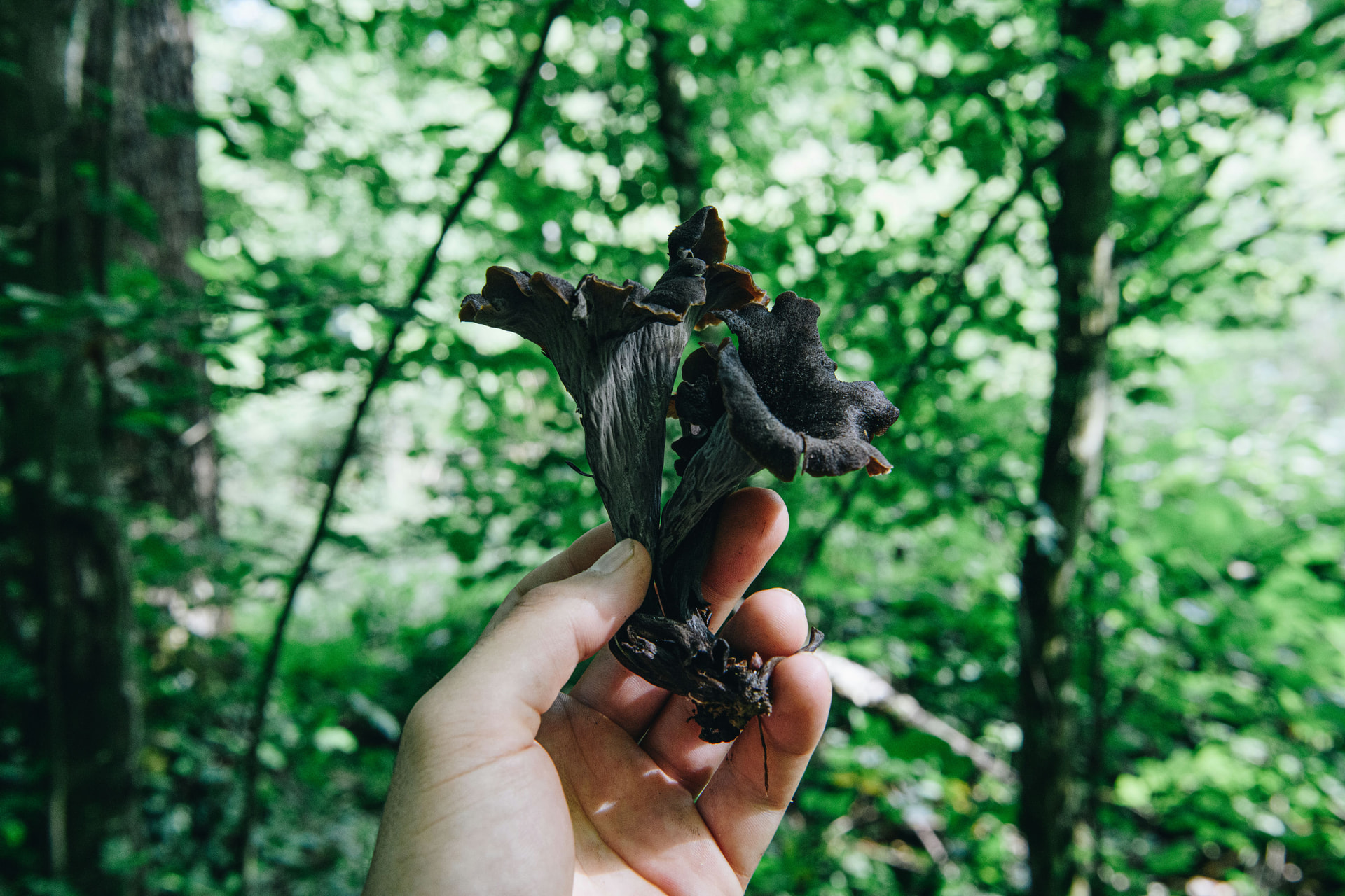 tqzLOuT632GRg_x0N0FZo0uD4x3y7gVAQOKwRlcei_c