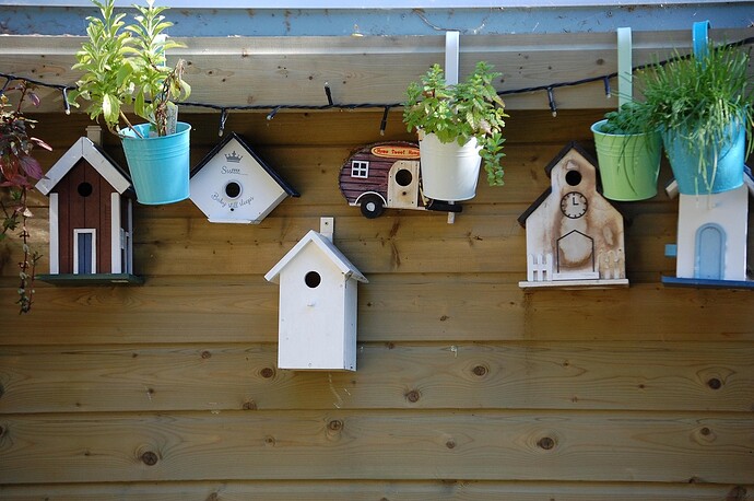 birdhouse-2427217_1280