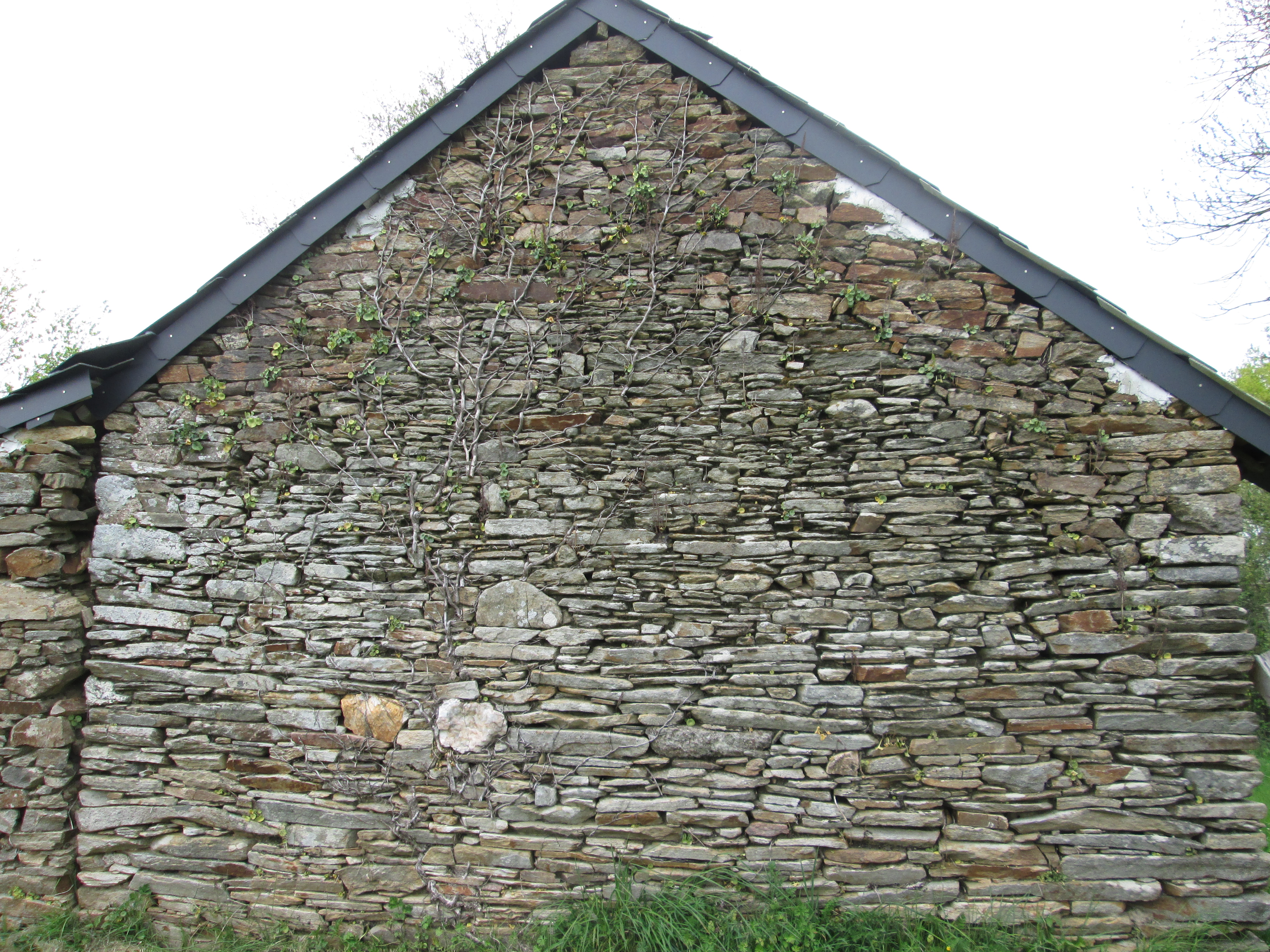 photo_2
