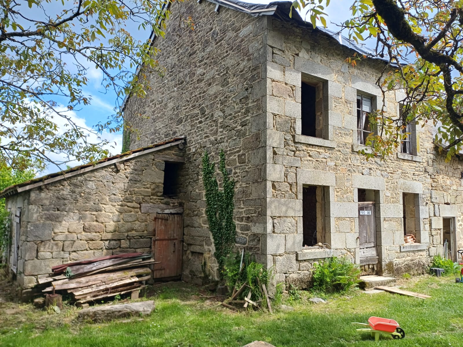 photo_1