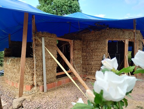 IMG_20240801_175521383_HDR
