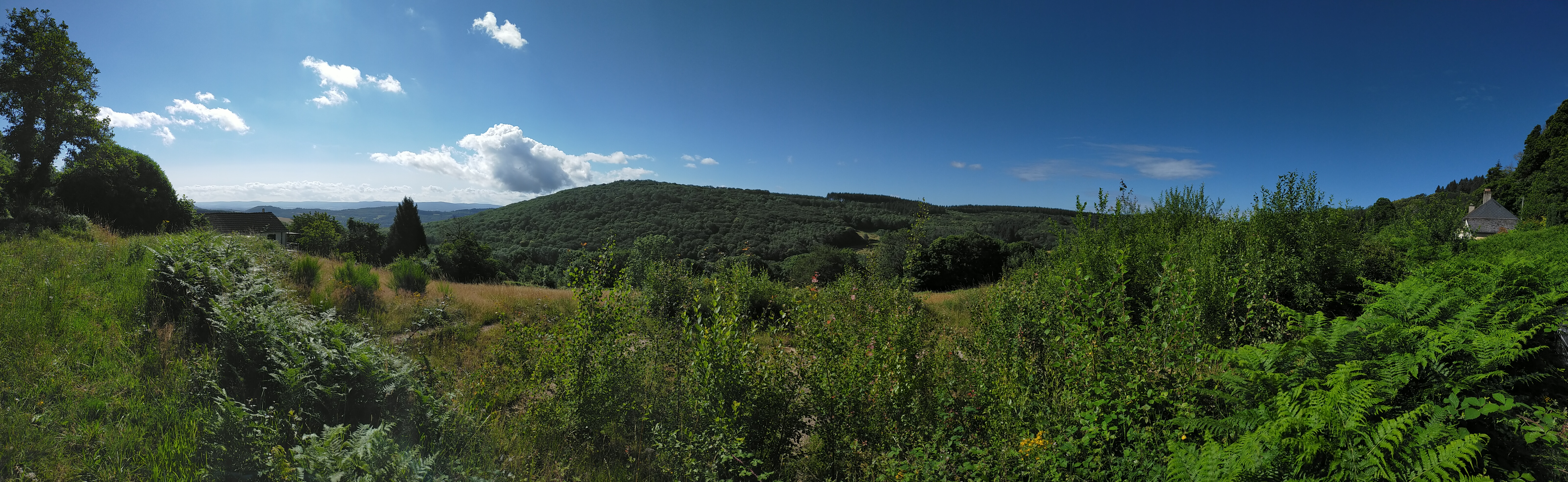 photo_1