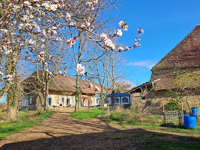 Maïté GayetFrontenaud - 20250311_093114