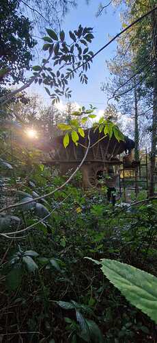 IMG-20241122-WA0004