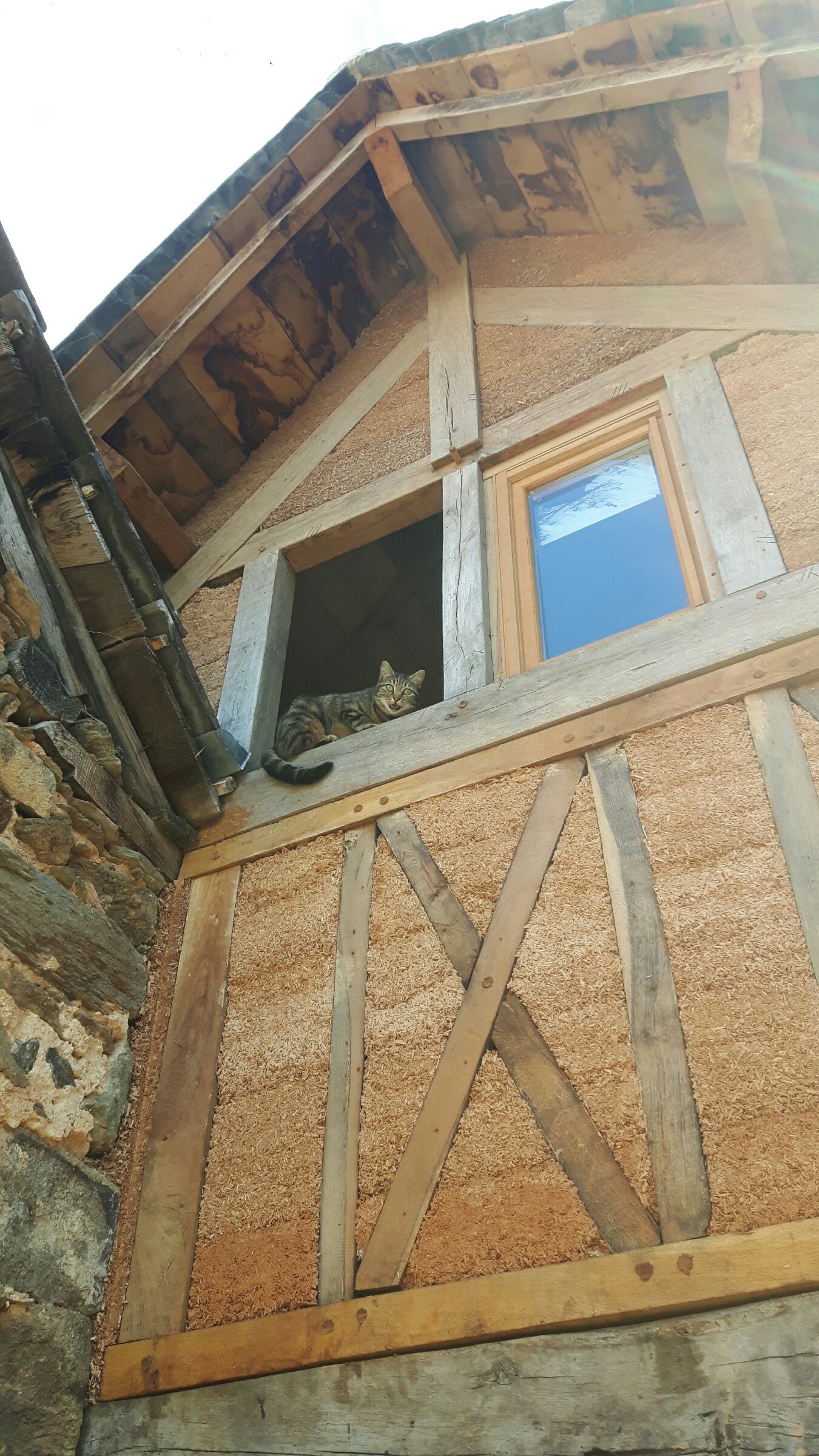 photo_2