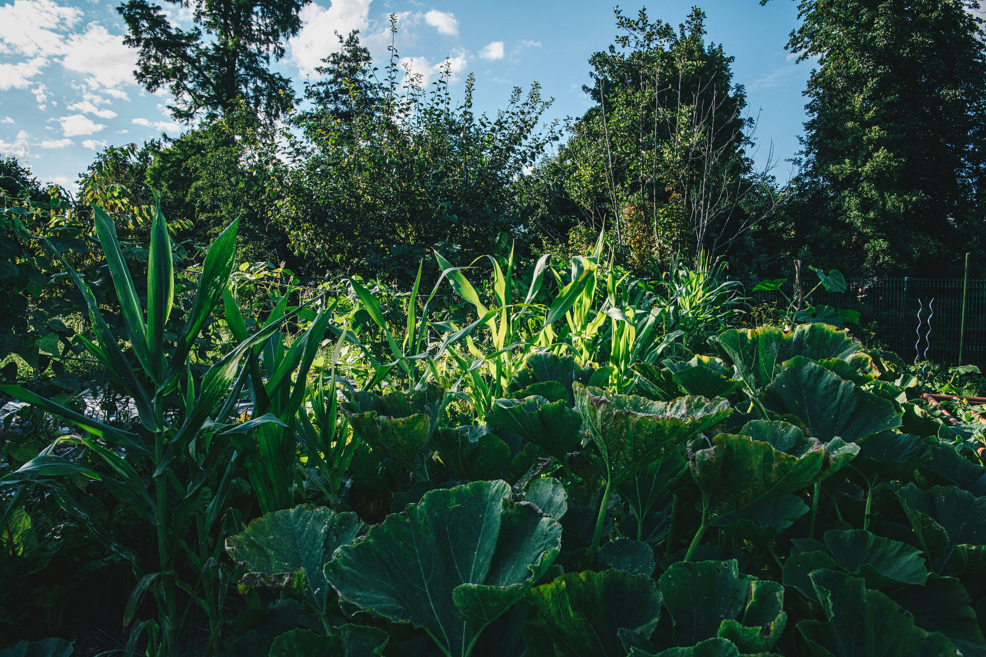 ehcahIKE4vODS1mP7WSJCoSAKUNAk6yglNpRH2yL5ik (1)