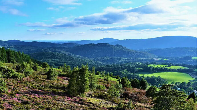 Capture d’écran 2026-02-02 à 11.51.59