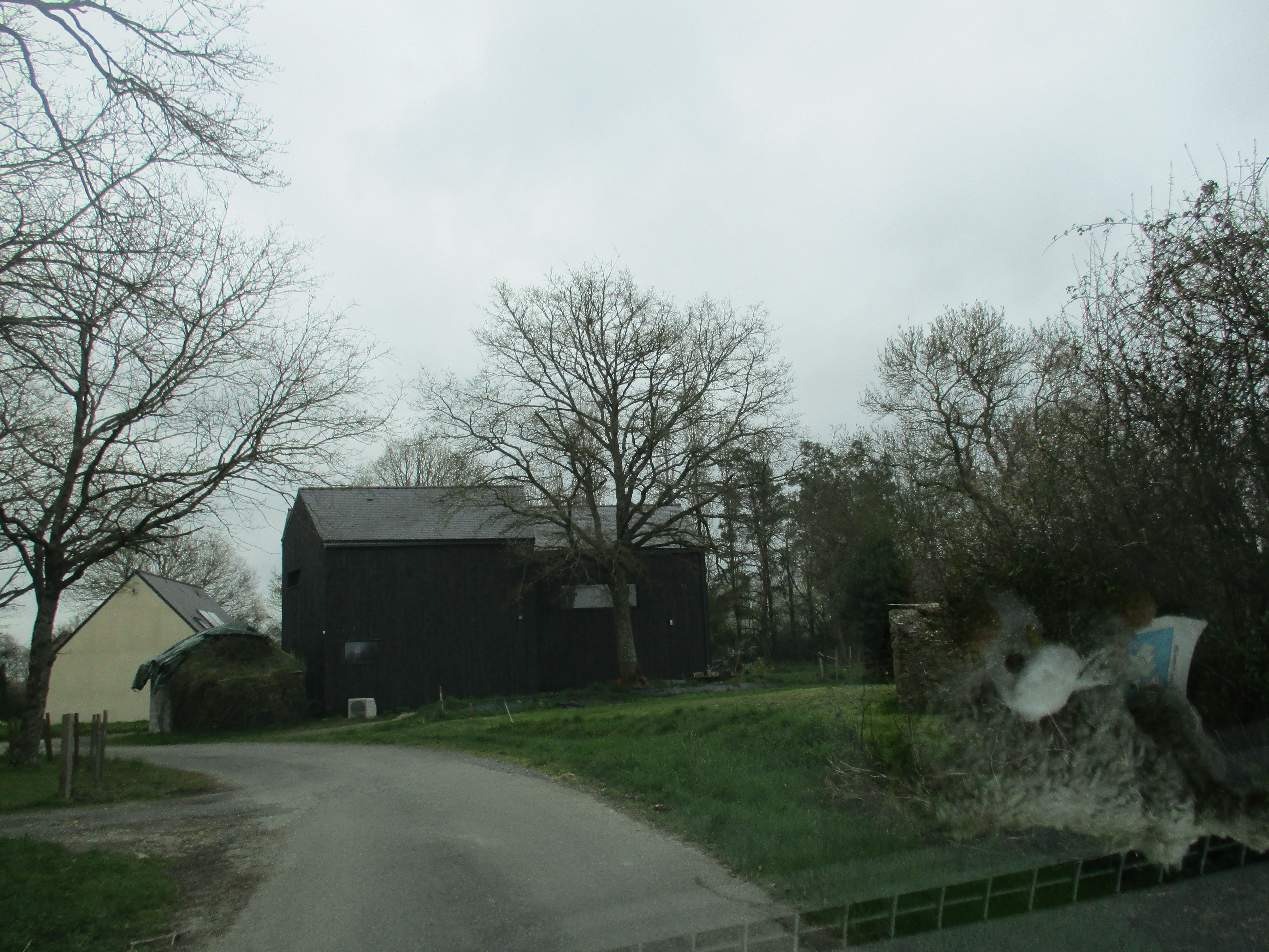 photo_1