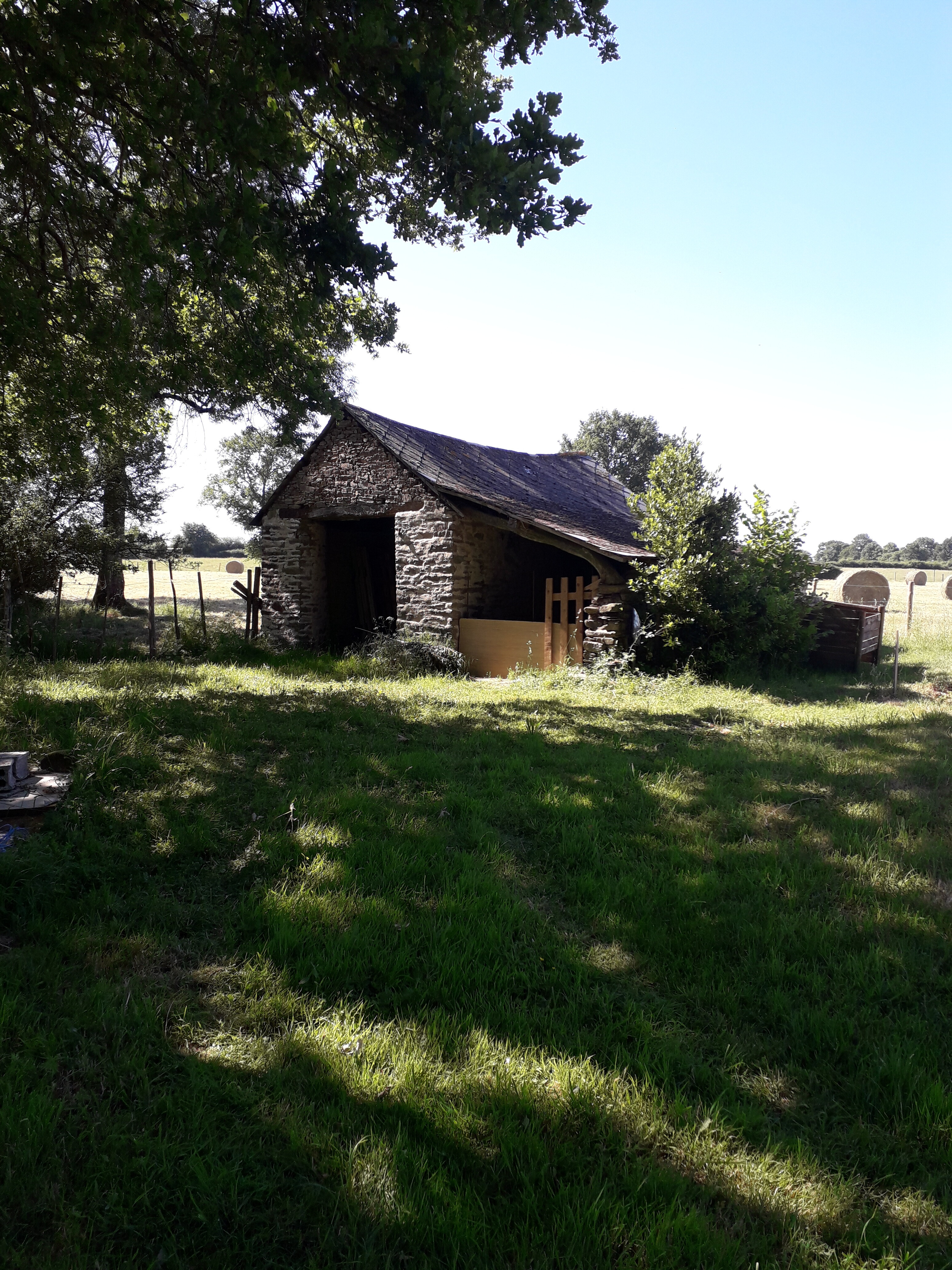 photo_5