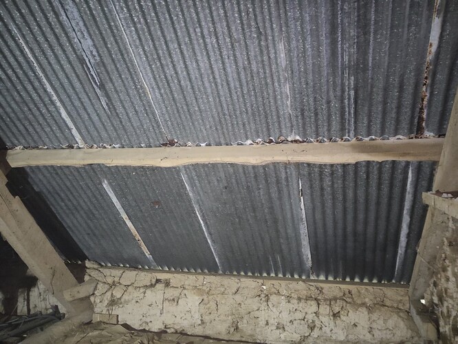 IMG_20241012_114550zedzed