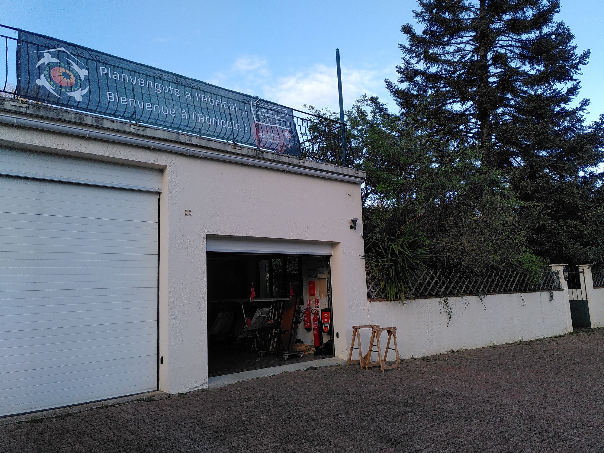 photo_3
