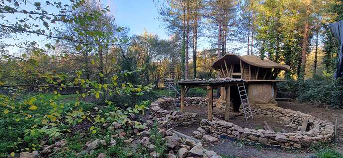 IMG-20241122-WA0008