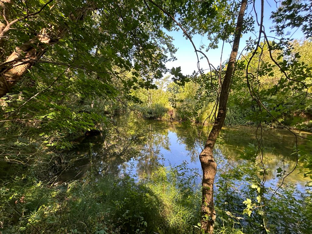 photo_1