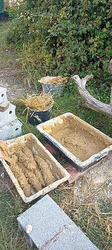IMG_20240728_195948