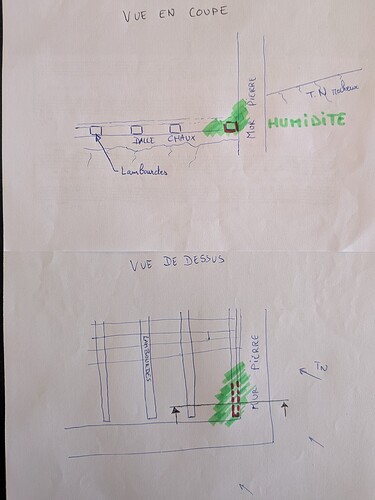 PXL_20250613_085530896-2