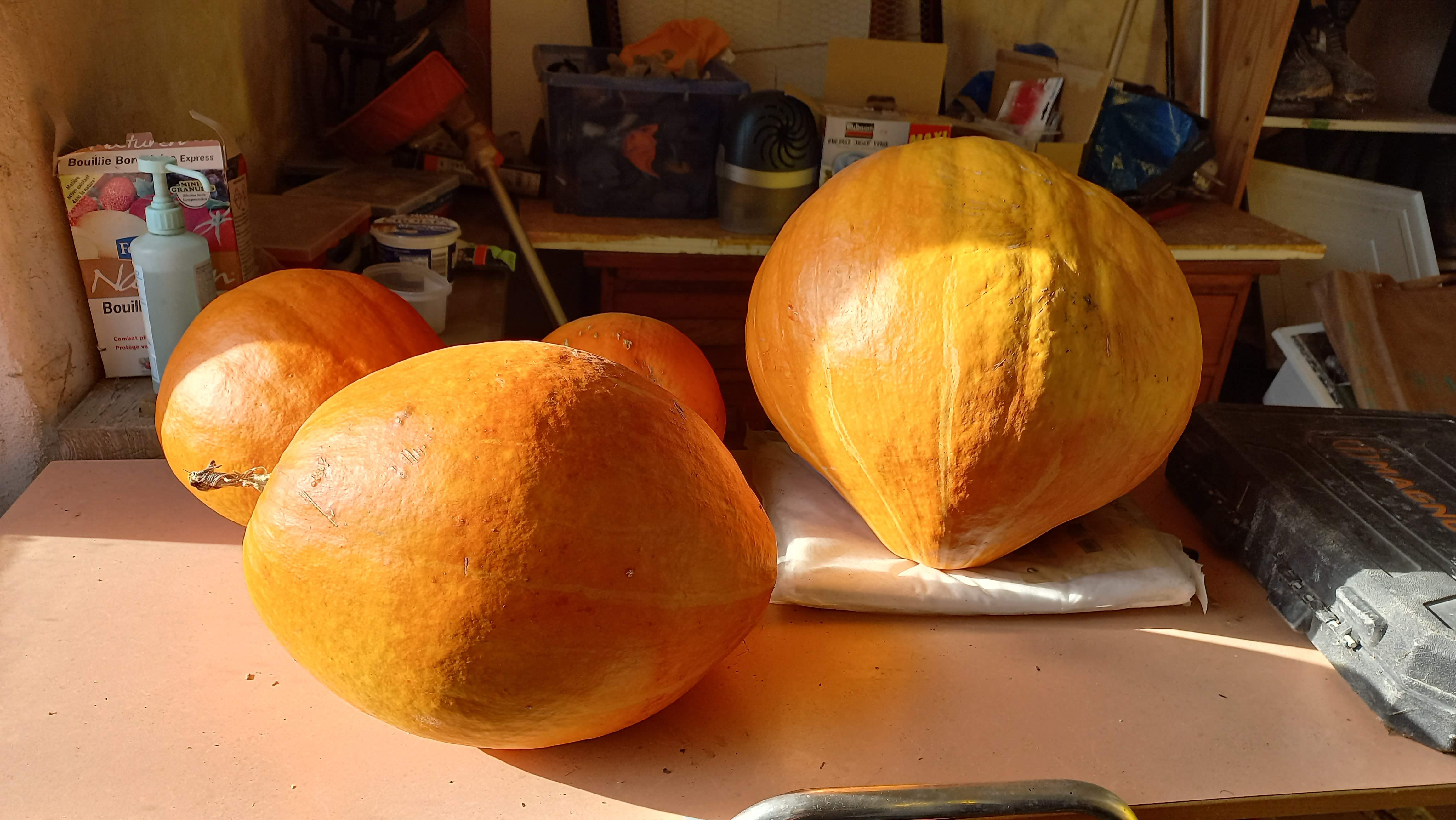 photo_3