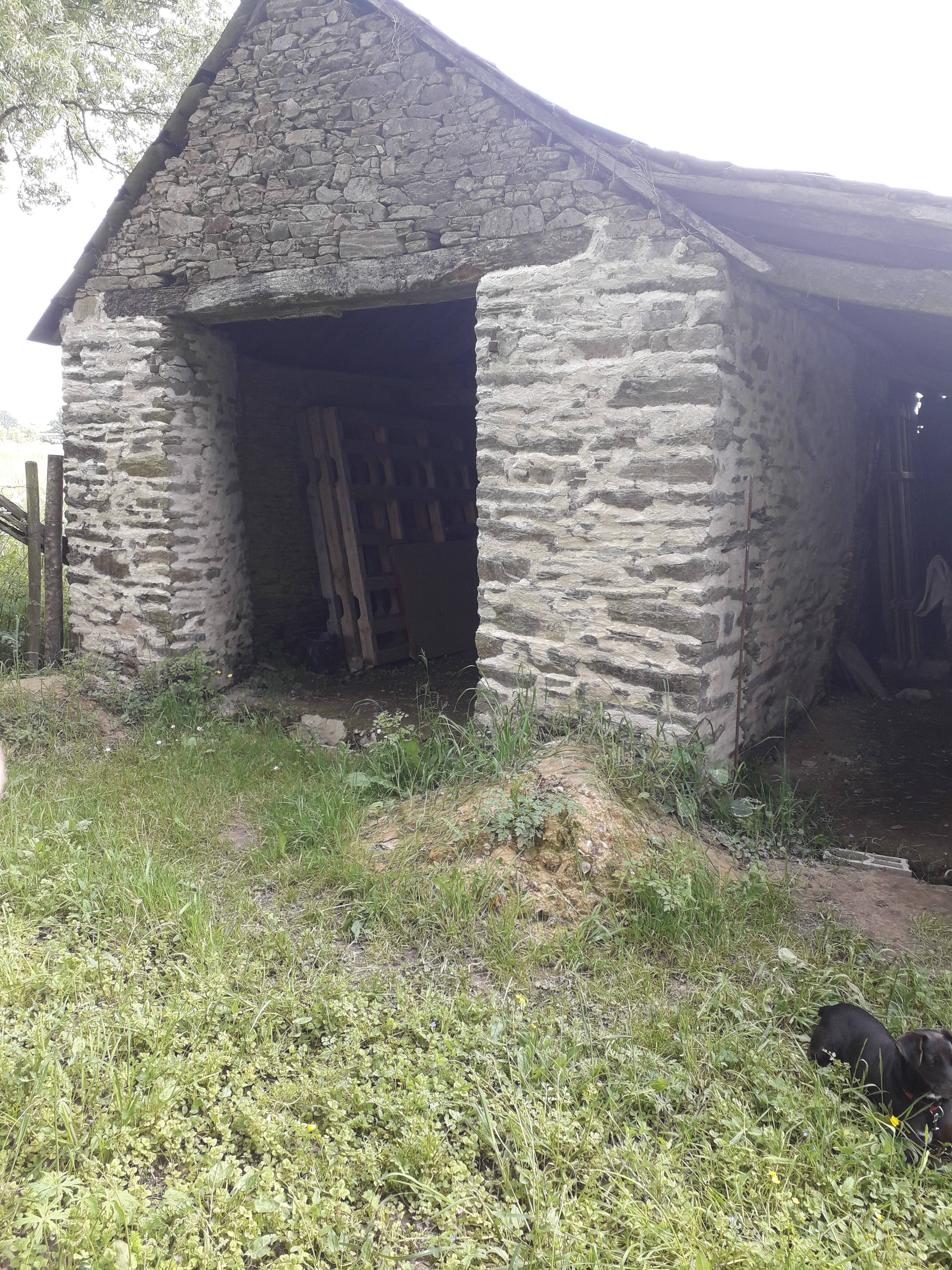 photo_6