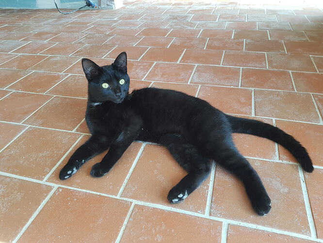 wDdluaOErp6P7TAgC_12aG6BkhrYoFHLJPLfom4Ff78