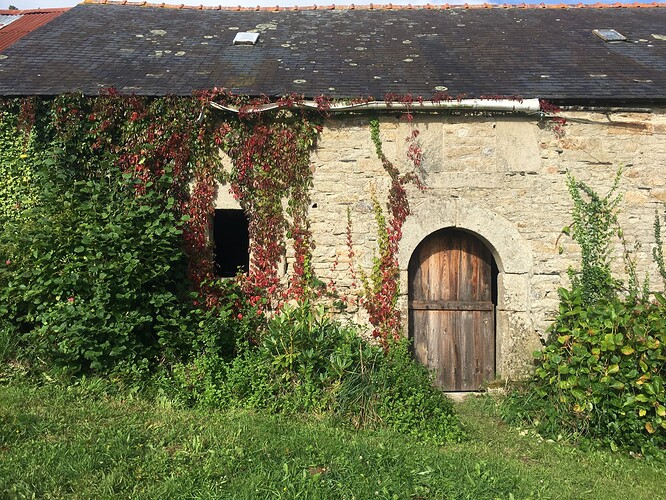 Anne et Bertrand DufourLa Trinité Langonnet - longere 2