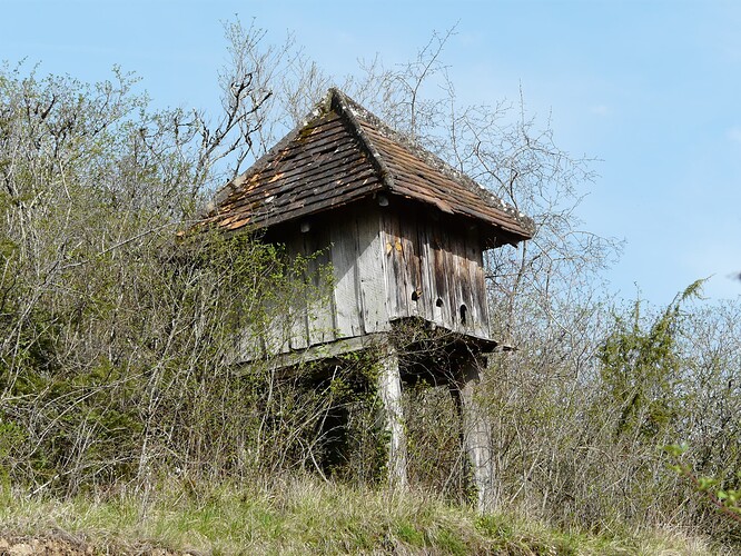 image (1)