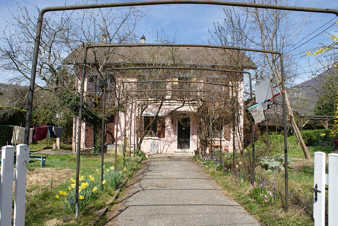 photo_1