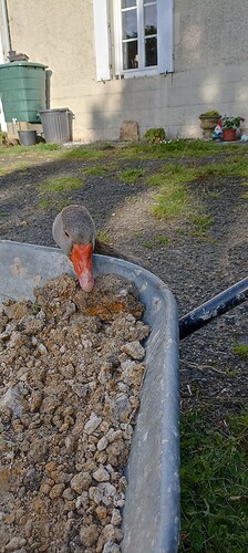 IMG_20240530_193920