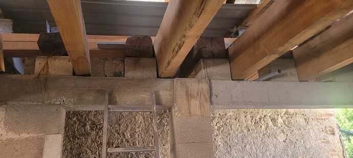 IMG-20260622-WA0001